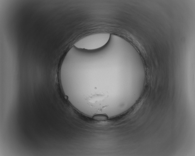 X0000102390313200808010940