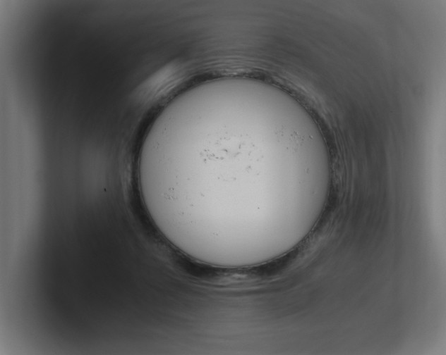 X0000102390315200808010940