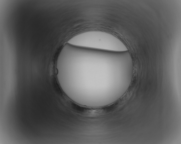X0000102390323200808010940