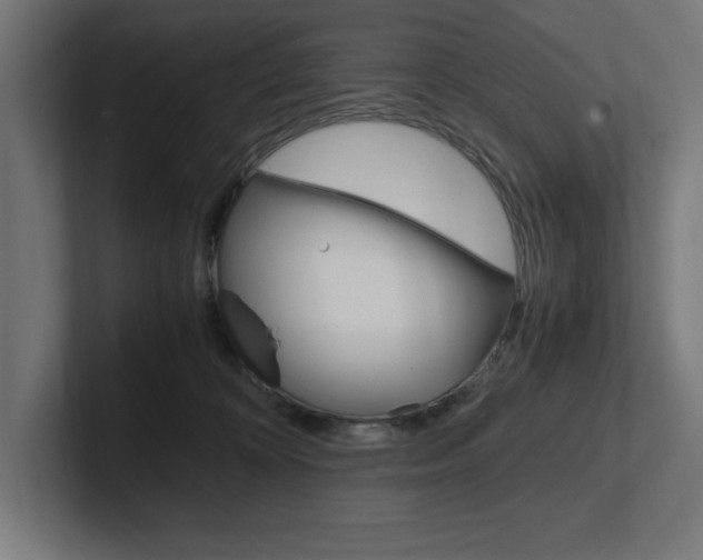 X0000102390324200808010940