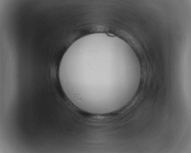X0000102390326200808010940
