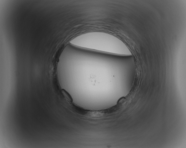 X0000102390327200808010940