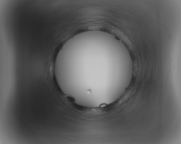 X0000102390329200808010939