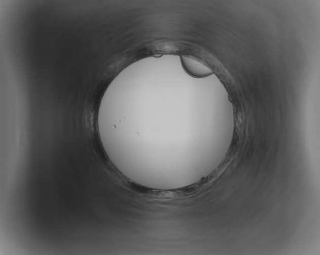 X0000102390330200808010939