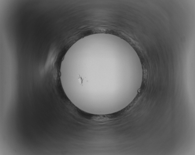 X0000102390331200808010939