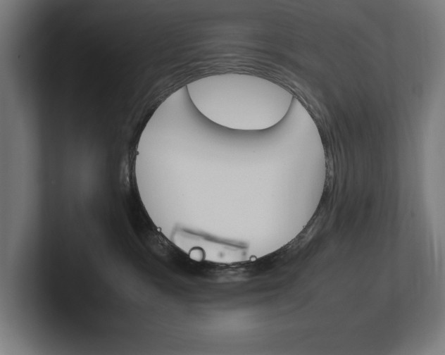 X0000102390333200808010939