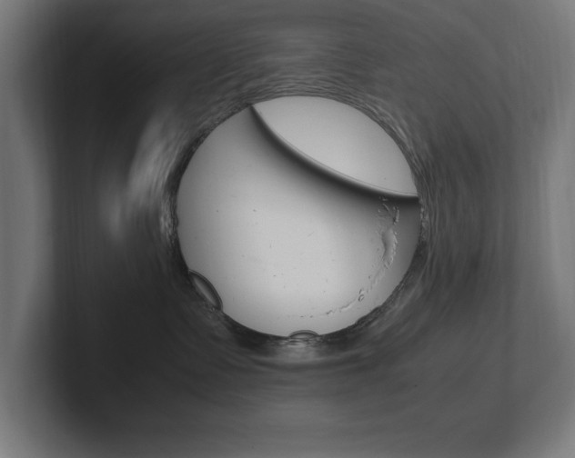 X0000102390335200808010939
