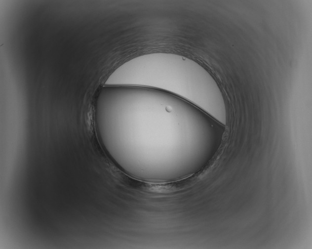 X0000102390336200808010939