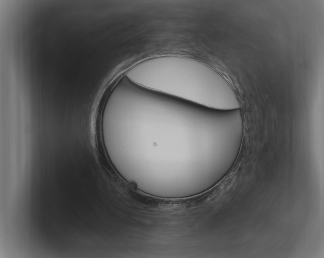 X0000102390340200808010939