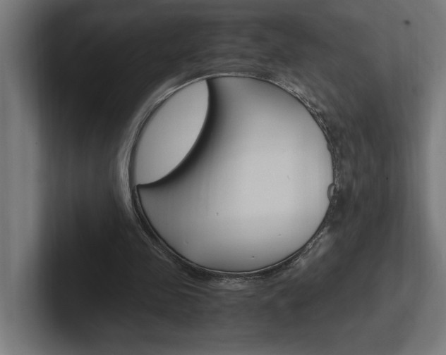 X0000102390341200808010939