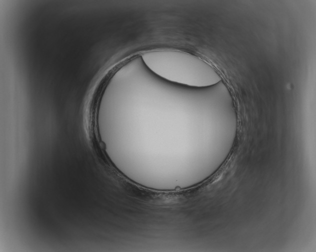 X0000102390343200808010939