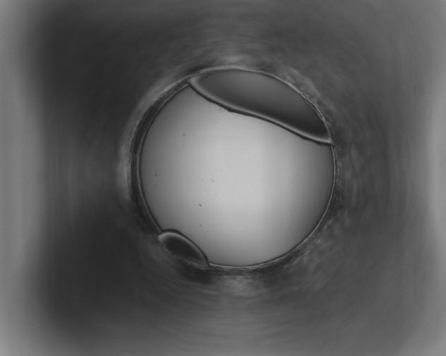 X0000102390344200808010939