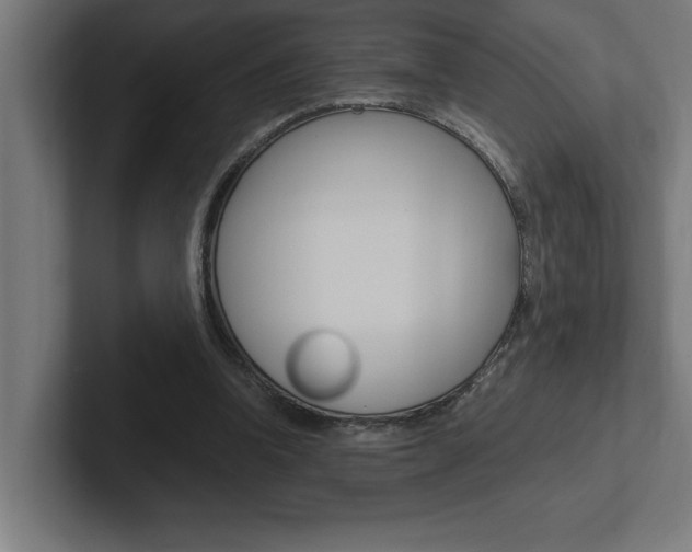 X0000102390346200808010939