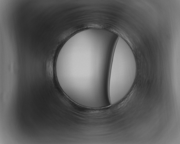 X0000102390349200808010939