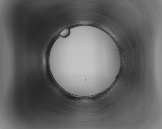X0000102390350200808010939