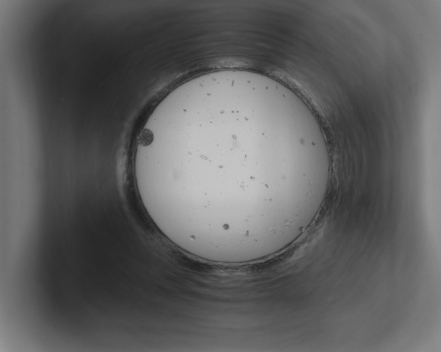 X0000102390351200808010939