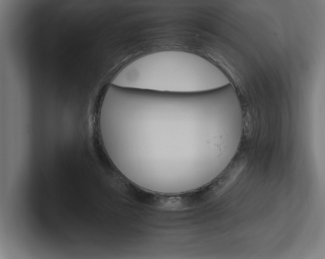 X0000102390355200808010939