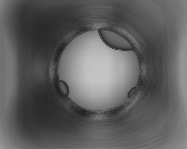 X0000102390356200808010939