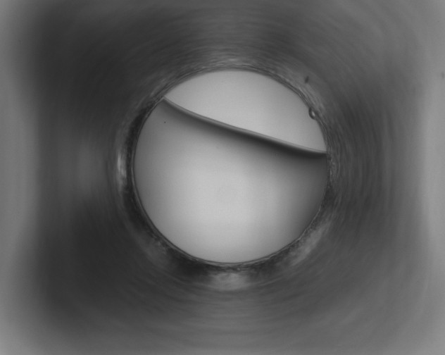 X0000102390358200808010939