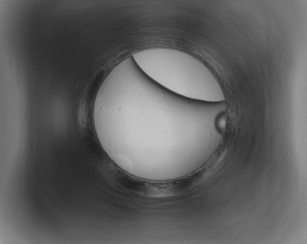 X0000102390359200808010939