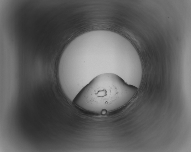 X0000102390362200808010939