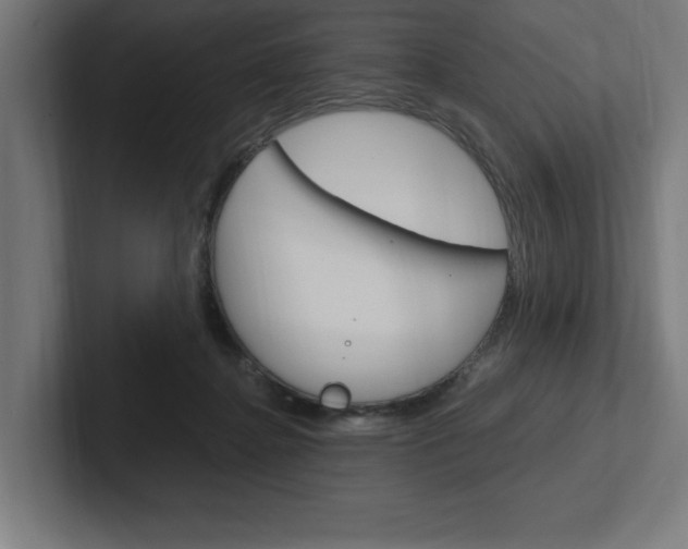 X0000102390364200808010939
