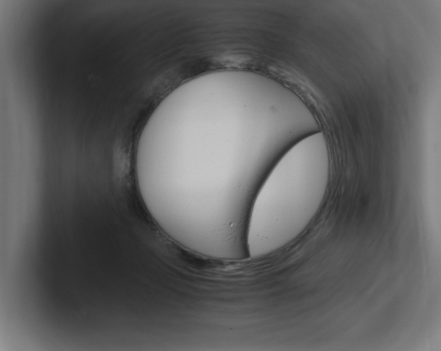 X0000102390365200808010939