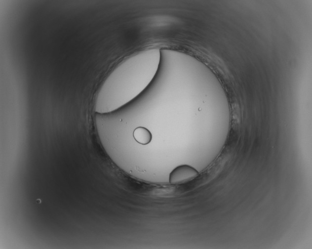 X0000102390369200808010939