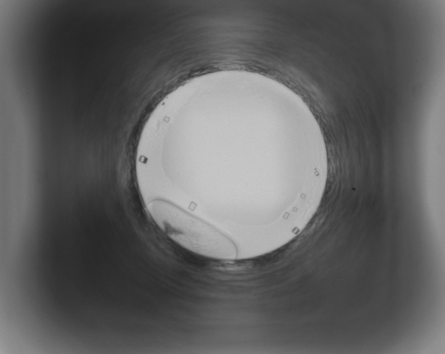 X0000102390370200808010939
