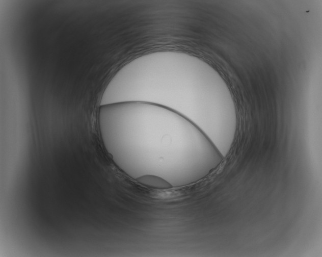 X0000102390372200808010939