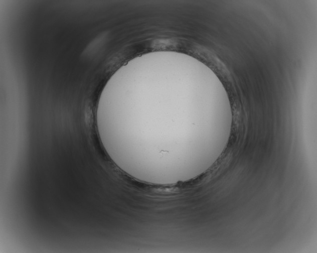 X0000102390375200808010939