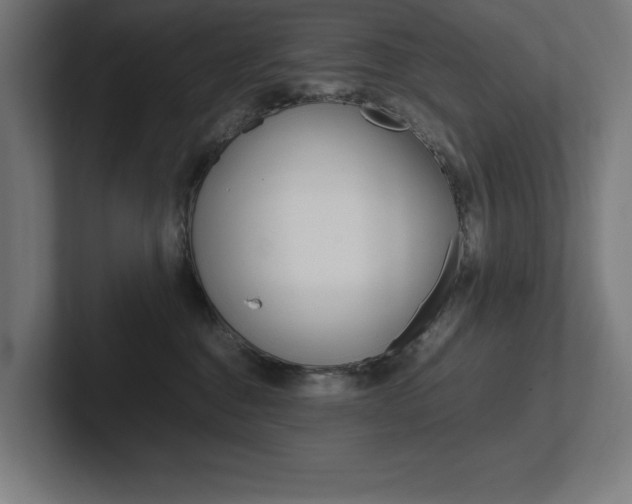 X0000102390376200808010939