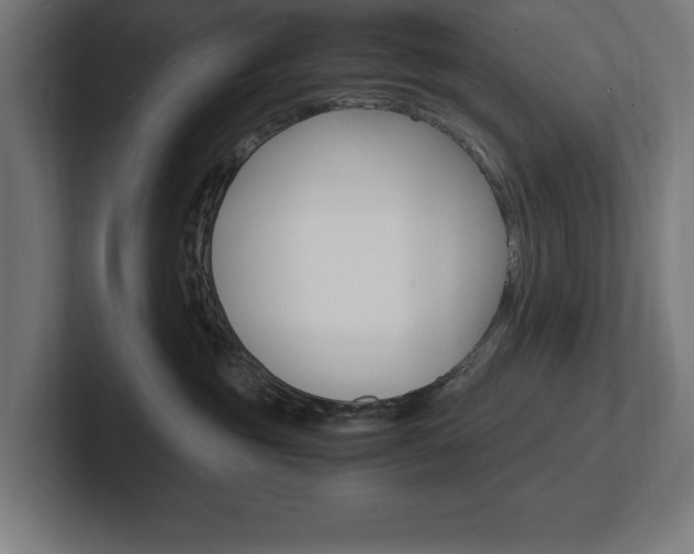 X0000102390381200808010939