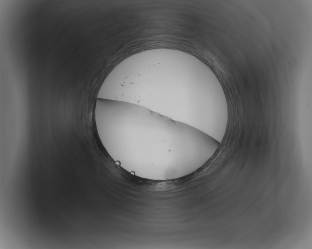 X0000102390382200808010939