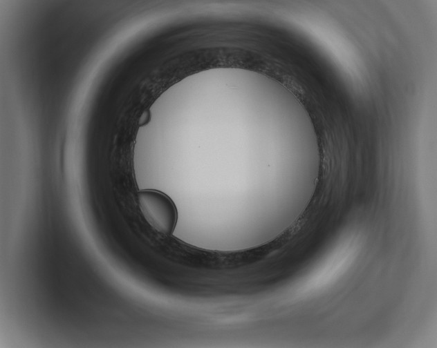 X0000102390383200808010939