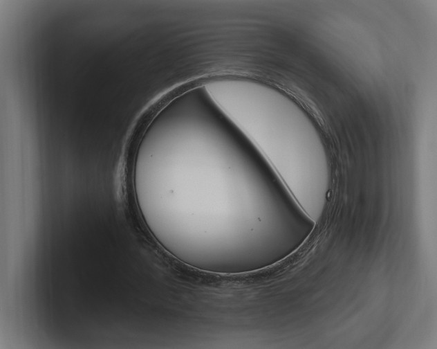 X0000102390388200808010939
