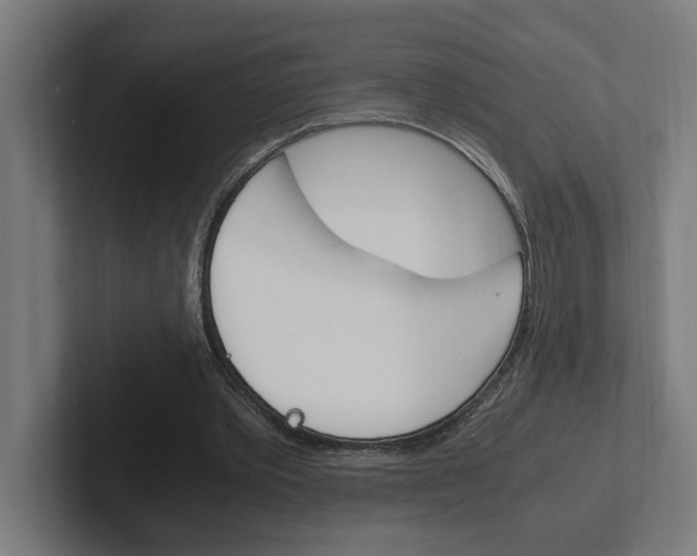 X0000102390389200808010939