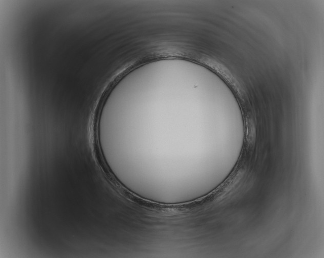 X0000102390390200808010939