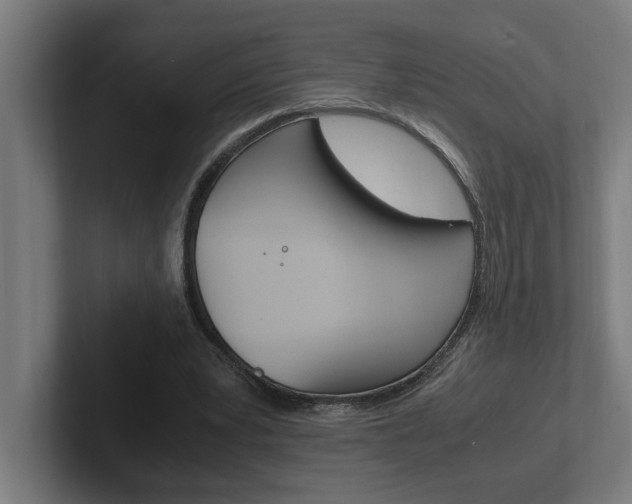 X0000102390391200808010939