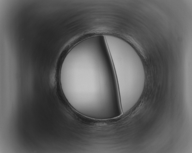 X0000102390392200808010939