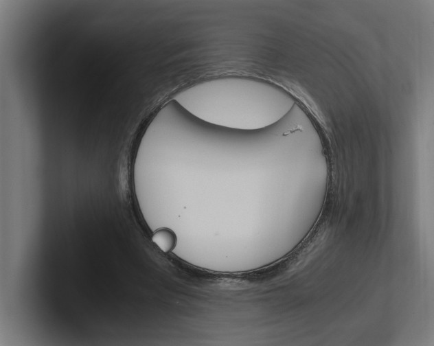 X0000102390393200808010939