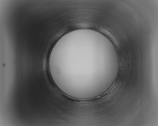 X0000102390394200808010939