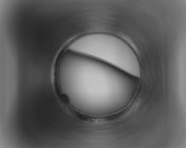 X0000102390395200808010939