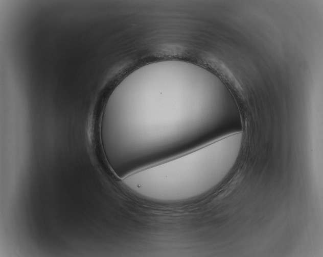 X0000102390396200808010939