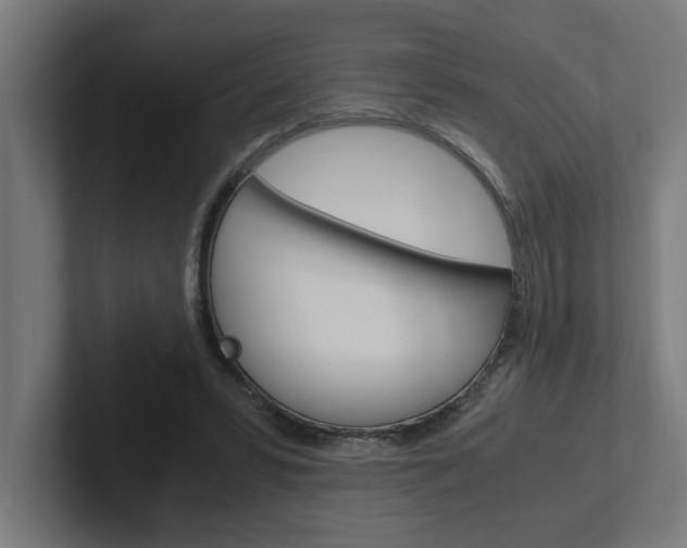 X0000102390399200808010939