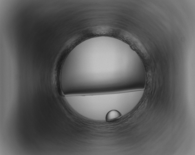 X0000102390400200808010939