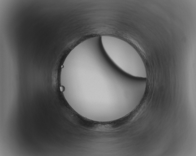 X0000102390403200808010939