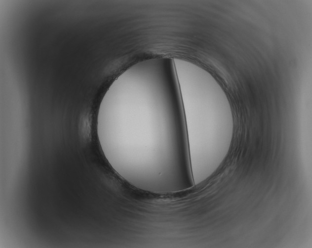 X0000102390404200808010939