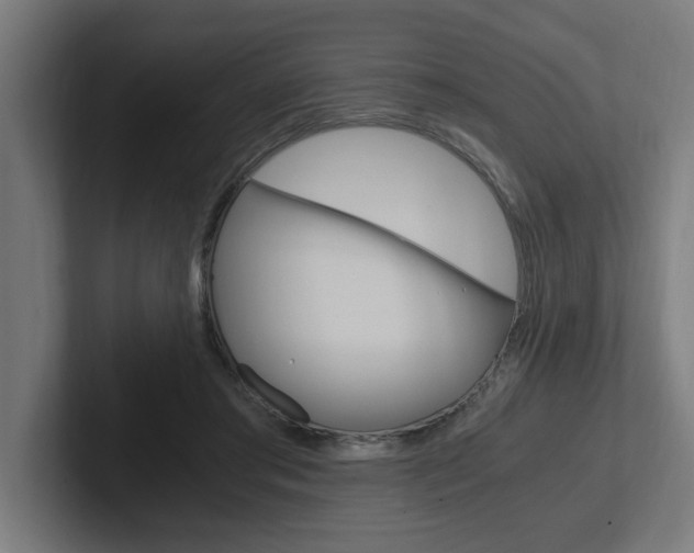 X0000102390405200808010938