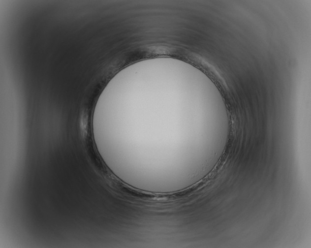 X0000102390406200808010938